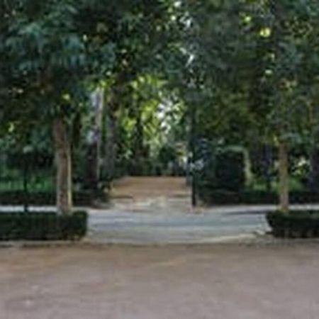 Fabuloso Piso Junto A Paseo De La Bomba Granada Exterior foto