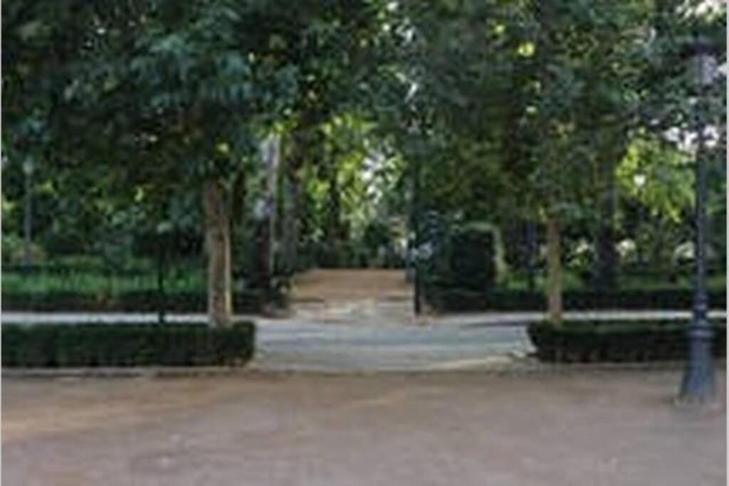 Fabuloso Piso Junto A Paseo De La Bomba Granada Exterior foto